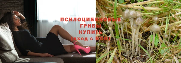 гашиш Арсеньев
