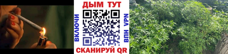 цена   Пущино  Каннабис планчик 